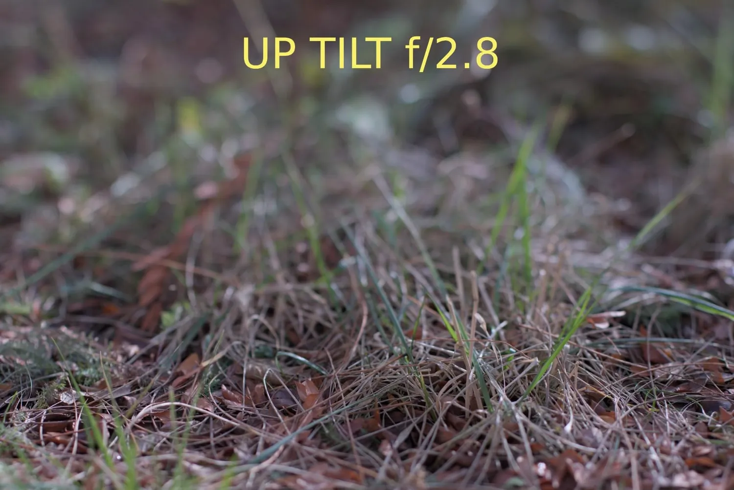 7Artisans 50mm F1.4 Tilt-Shift objectif Fuji X effet miniature