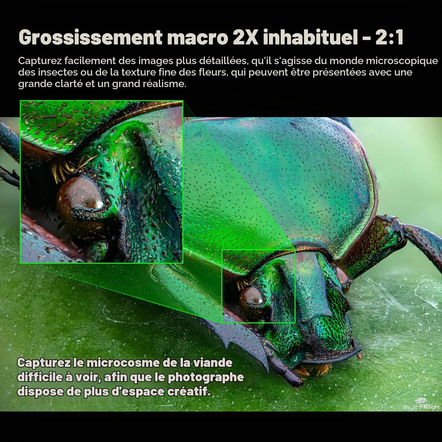 7Artisans Spectrum 120mm T2.9 objectif cinéma Sony E macro 2x