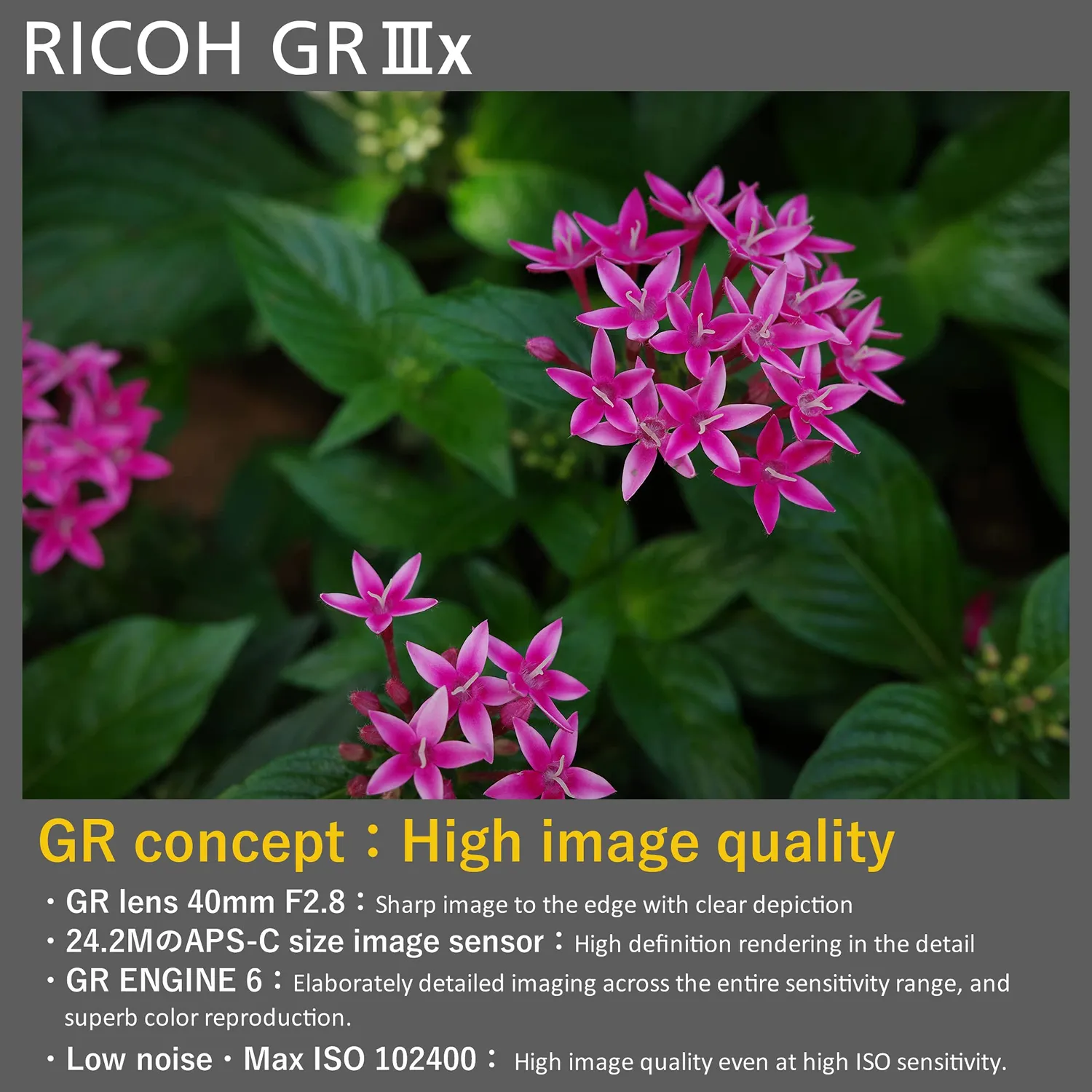 Ricoh GR IIIx appareil photo compact 40mm noir