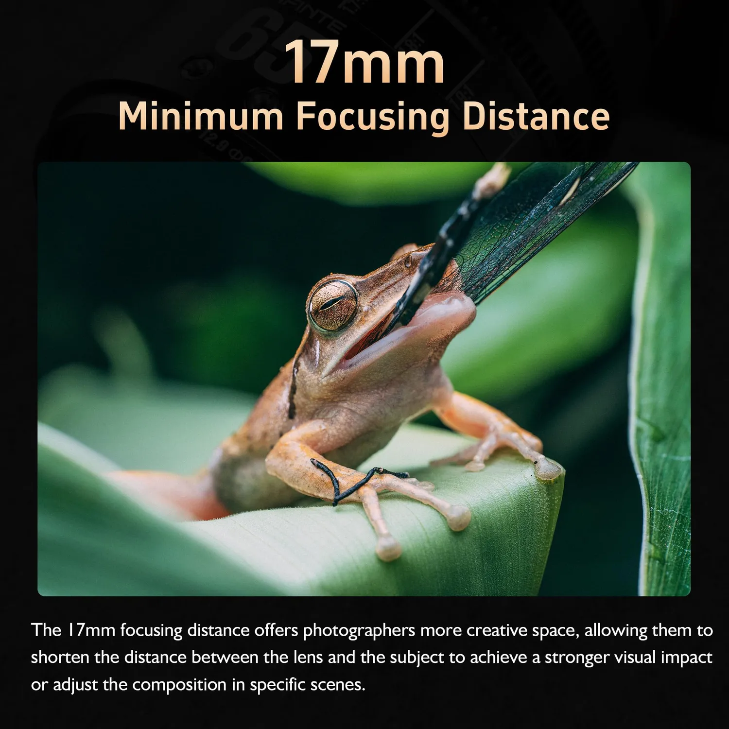 7Artisans 65mm T2.9 objectif cinéma macro Sony E