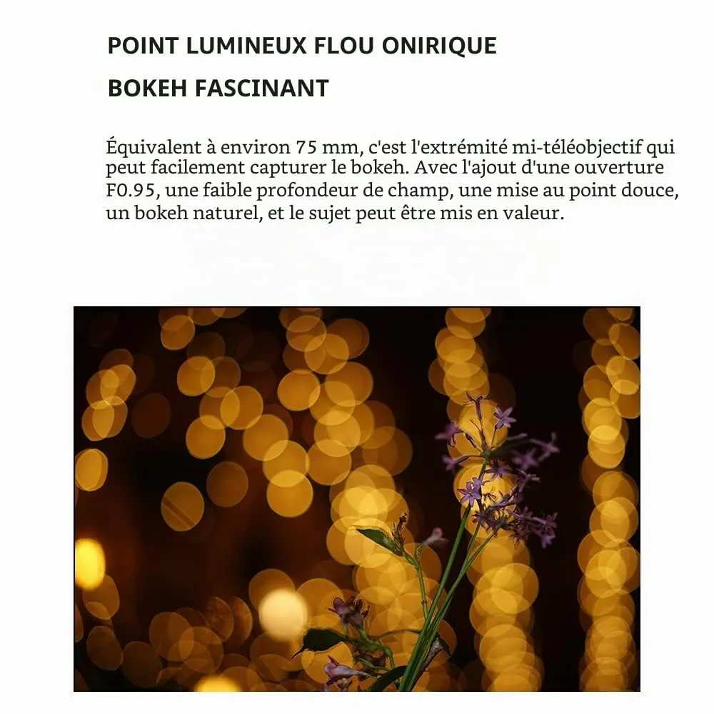 7Artisans 50mm F0.95 focale fixe Sony E ultra lumineux