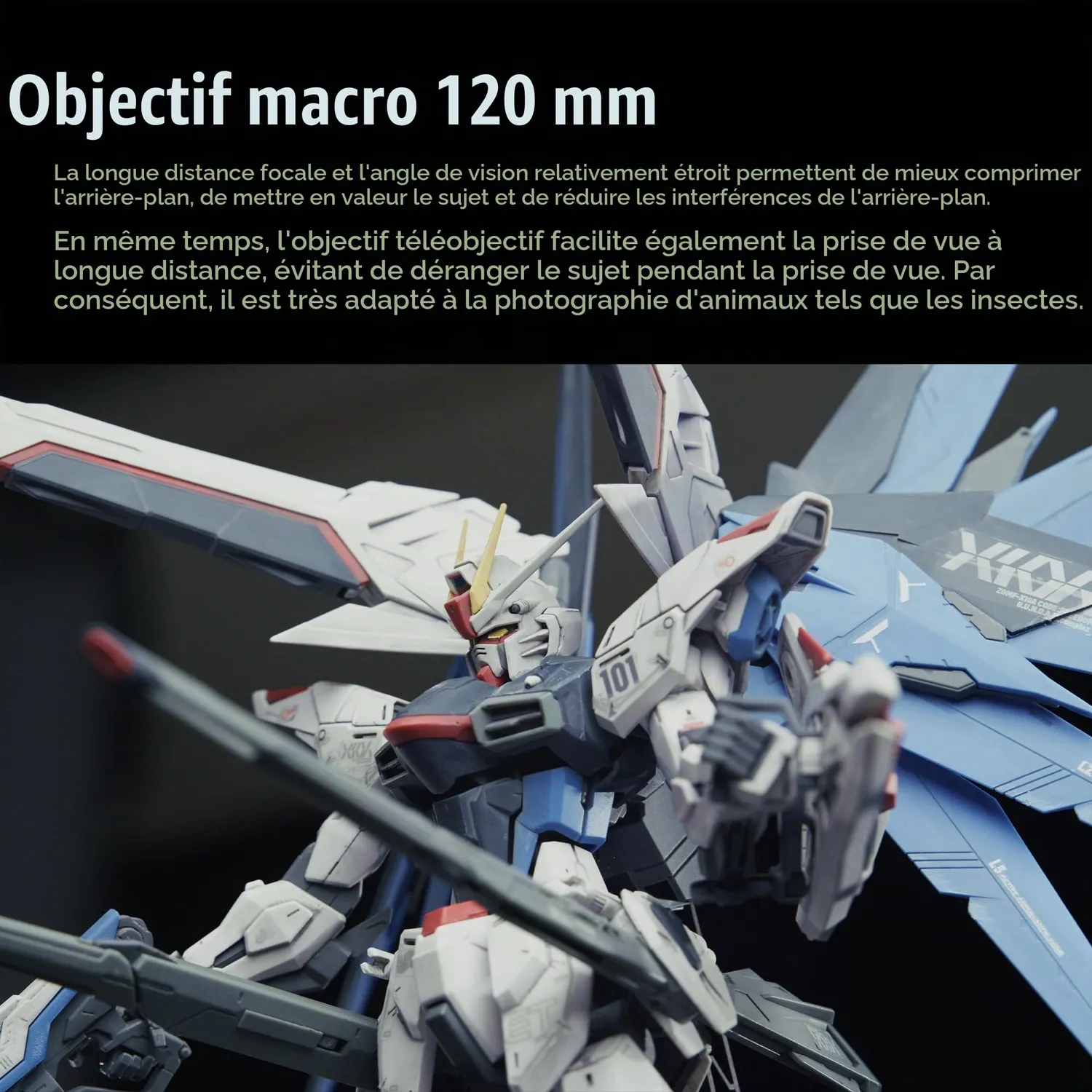 7Artisans Spectrum 120mm T2.9 objectif cinéma Sony E macro 2x
