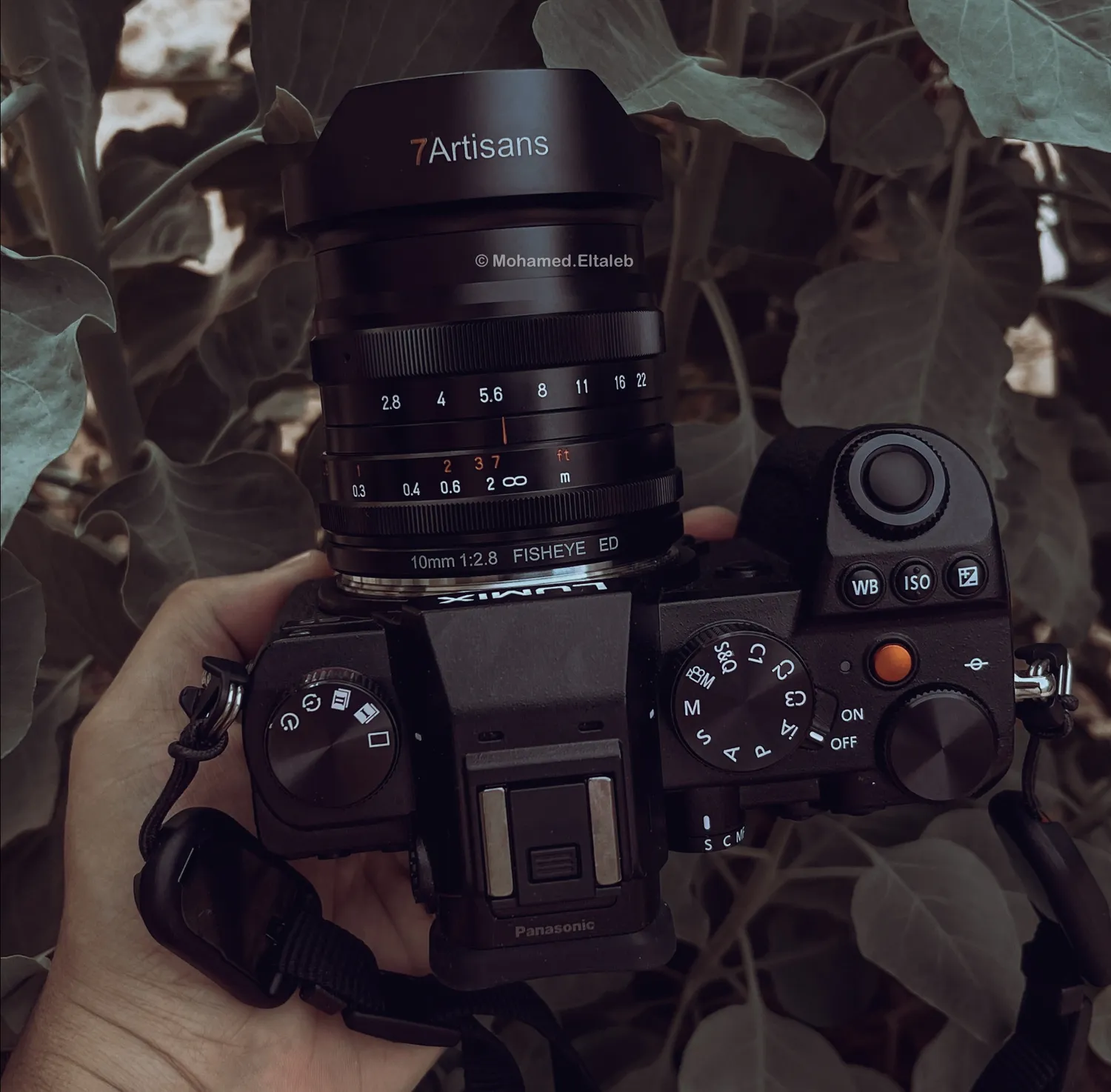 7Artisans 10mm F2.8 II Objectif Fisheye L 178°