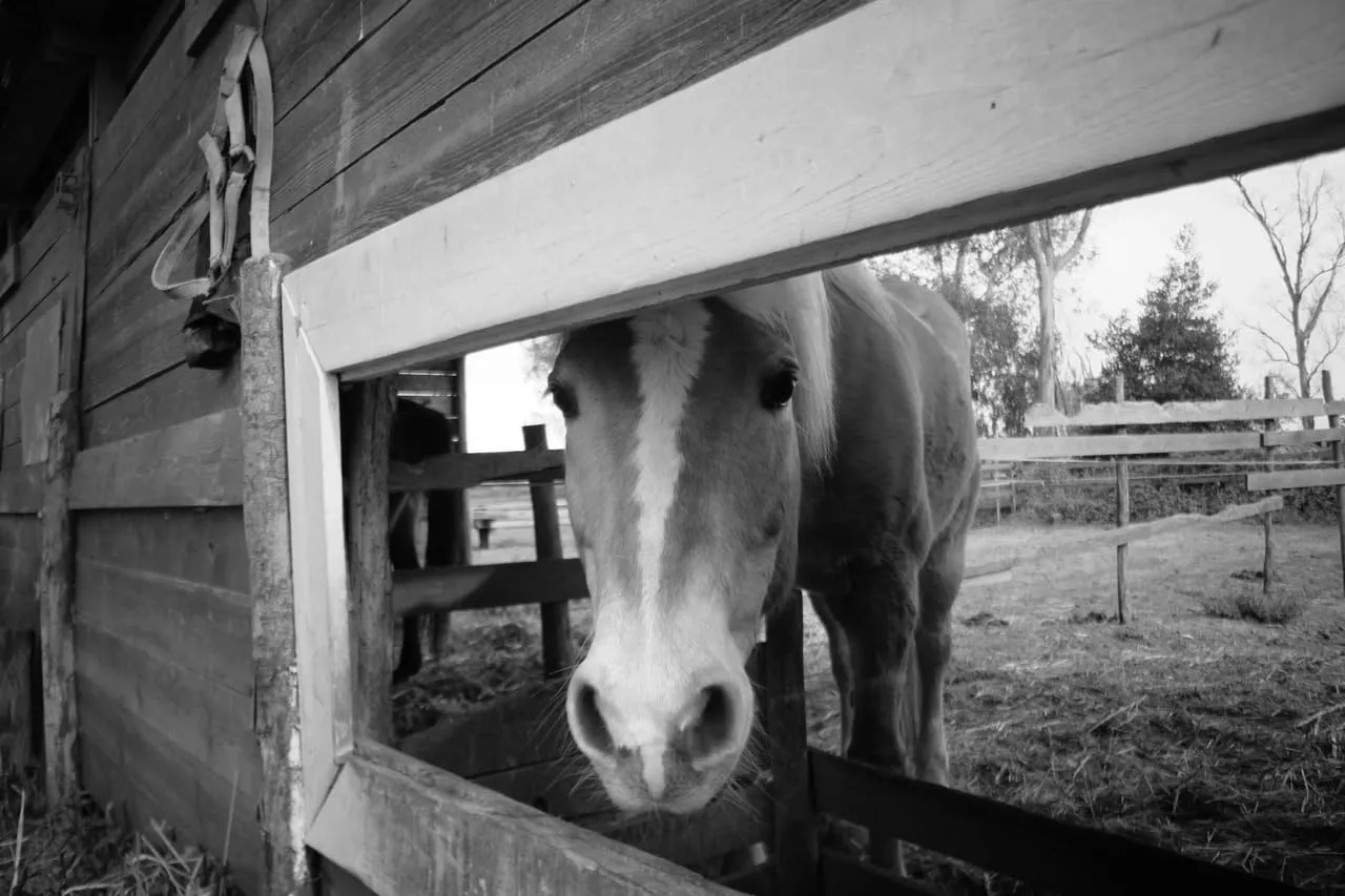 7Artisans 18mm F6.3 pancake objectif Fuji X APS-C