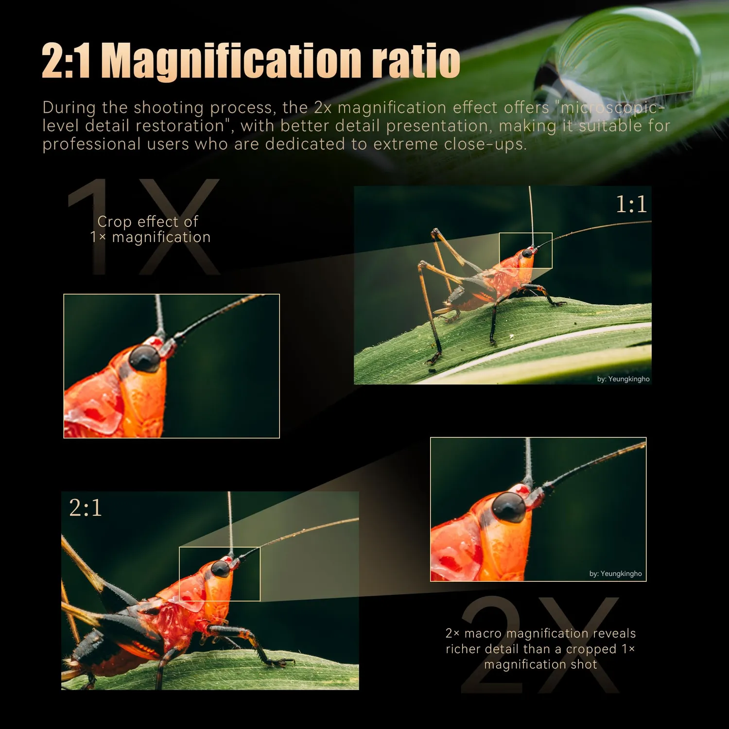 7Artisans Infinity 65mm T2.9 objectif cinéma E macro 2x