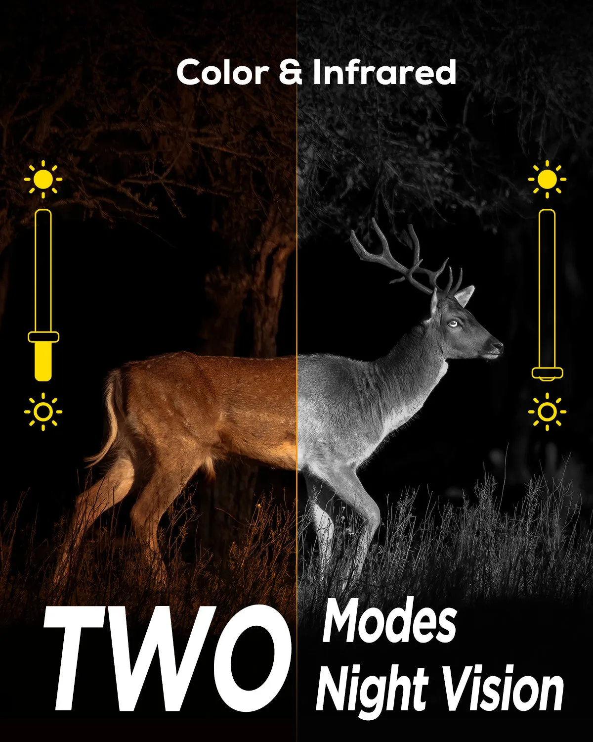 iZeeker iG600 caméra de chasse 4K double objectif