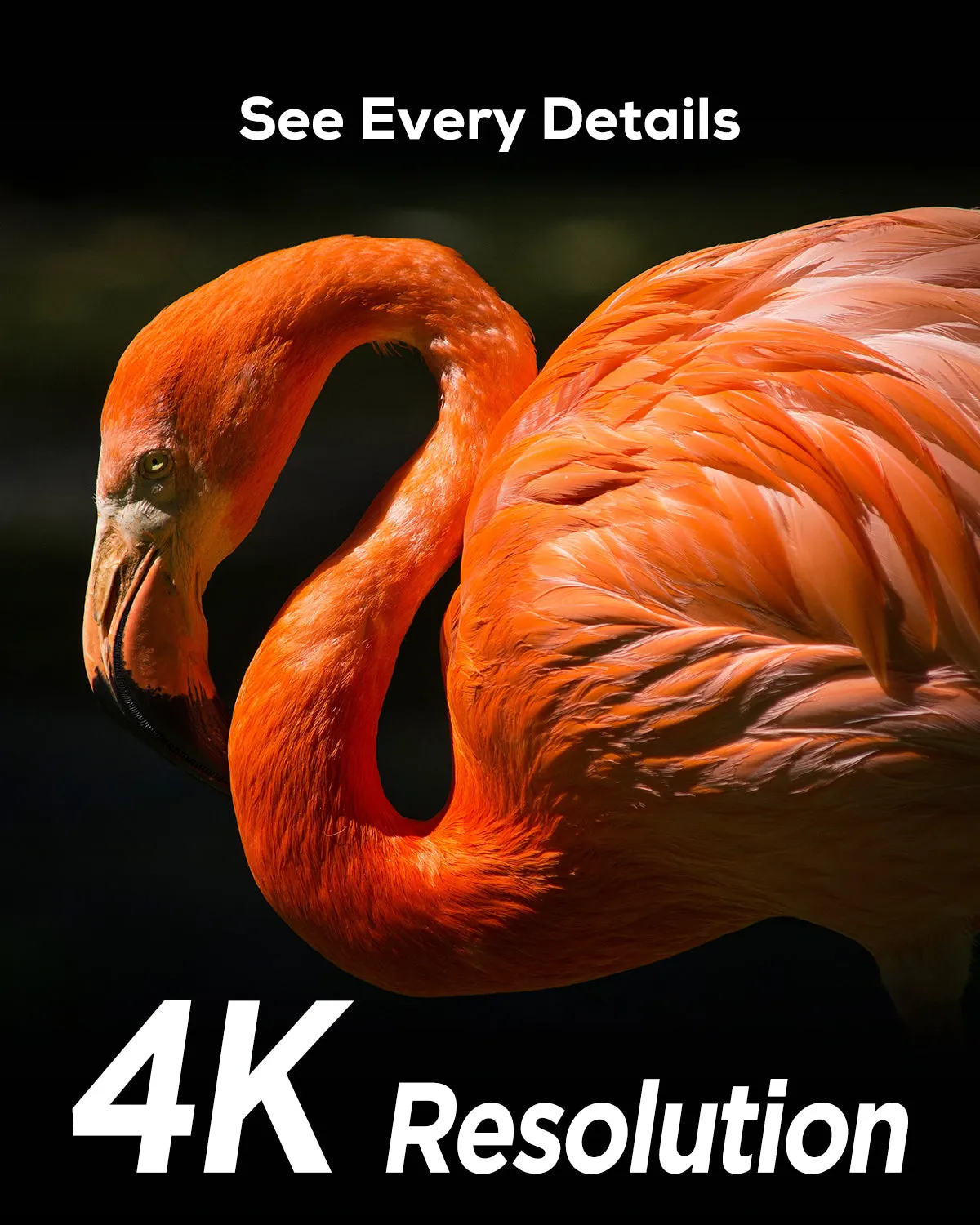 iZeeker iG600 caméra de chasse 4K double objectif