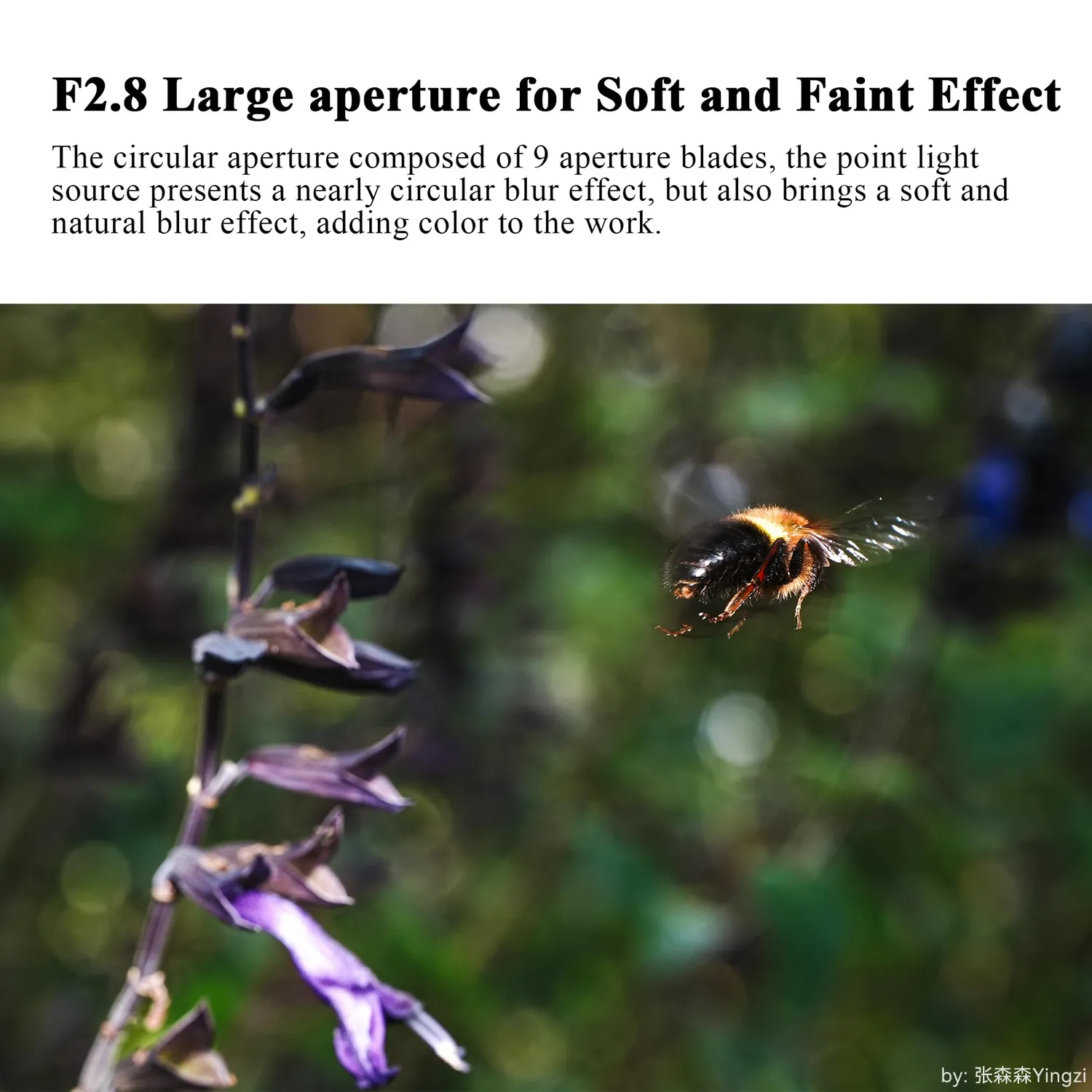 7Artisans 60mm F2.8 Macro 2x objectif Nikon Z