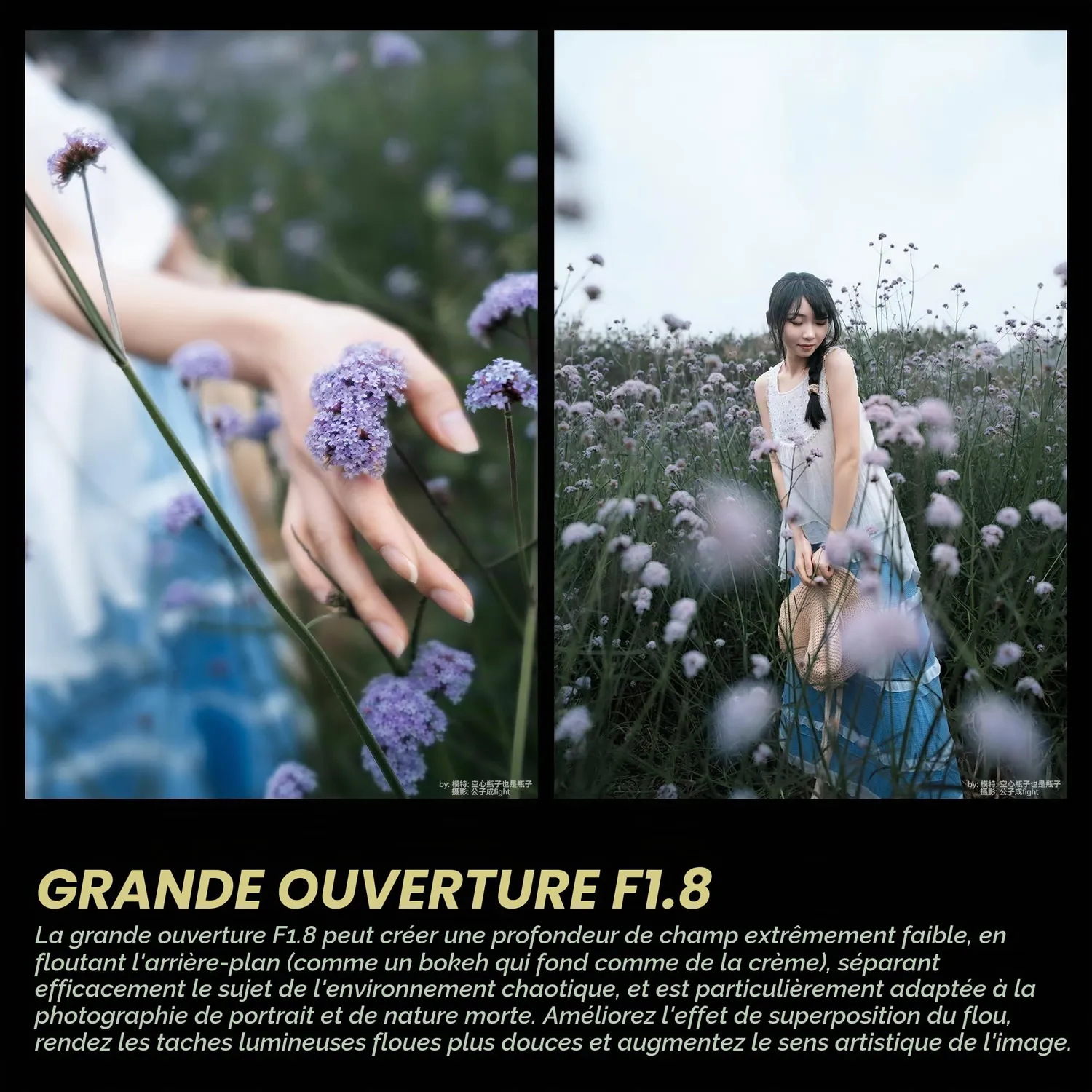 7Artisans 24mm F1.8 AF objectif Sony E plein format