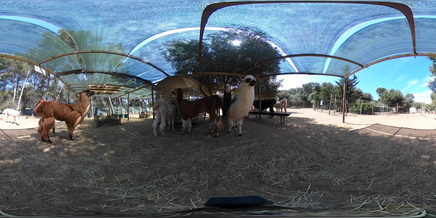 Ricoh Theta SC2 Caméra 360° 4K 14 Mpix Bleue Nuit