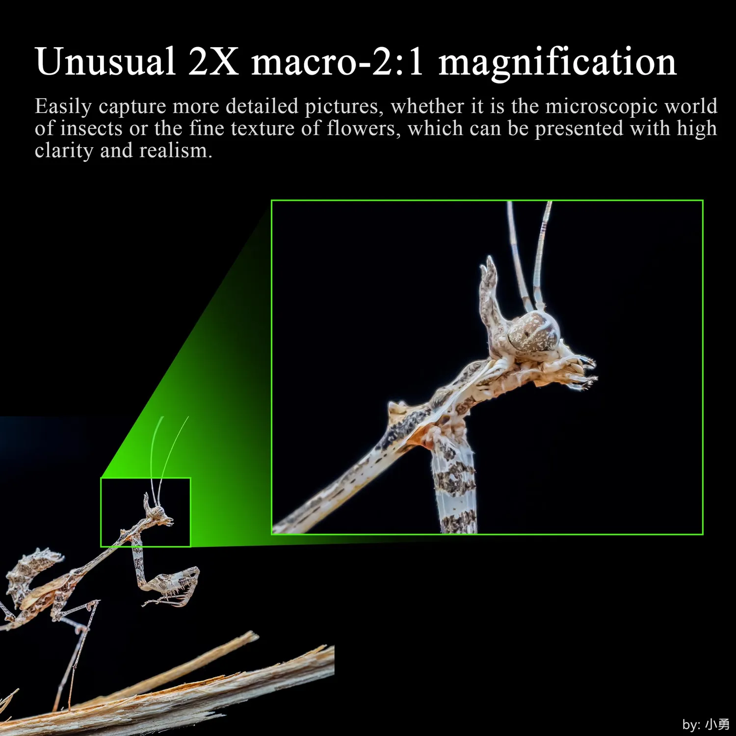 7Artisans 60mm F2.8 Macro 2x objectif Nikon Z