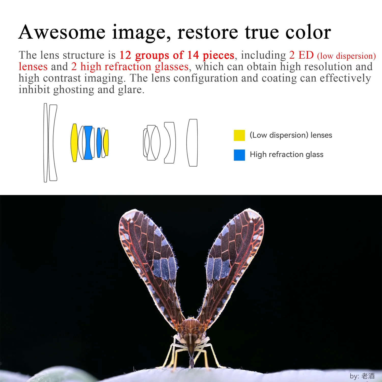 7Artisans 60mm F2.8 Macro 2x objectif Nikon Z