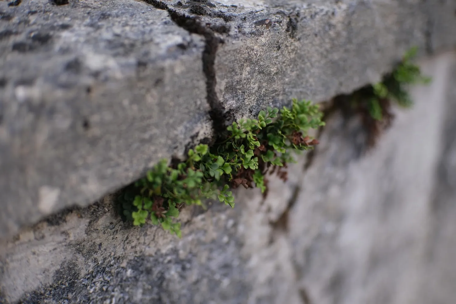 7Artisans 35mm F1.4 II objectif Fuji X noir APS-C