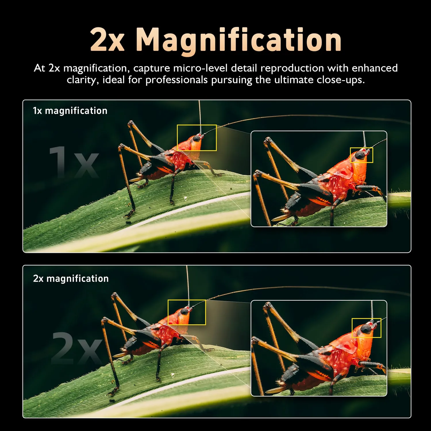 7Artisans 65mm T2.9 objectif cinéma macro Sony E