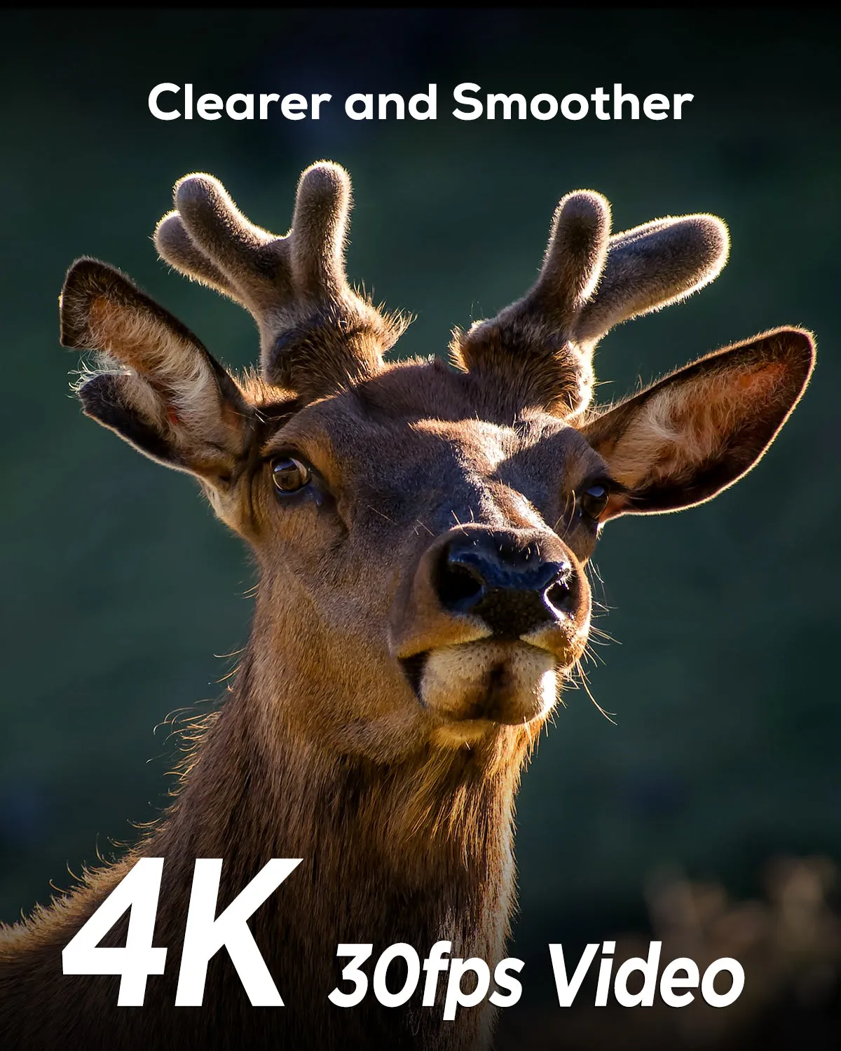 iZeeker iG400 caméra de chasse 4K 30fps