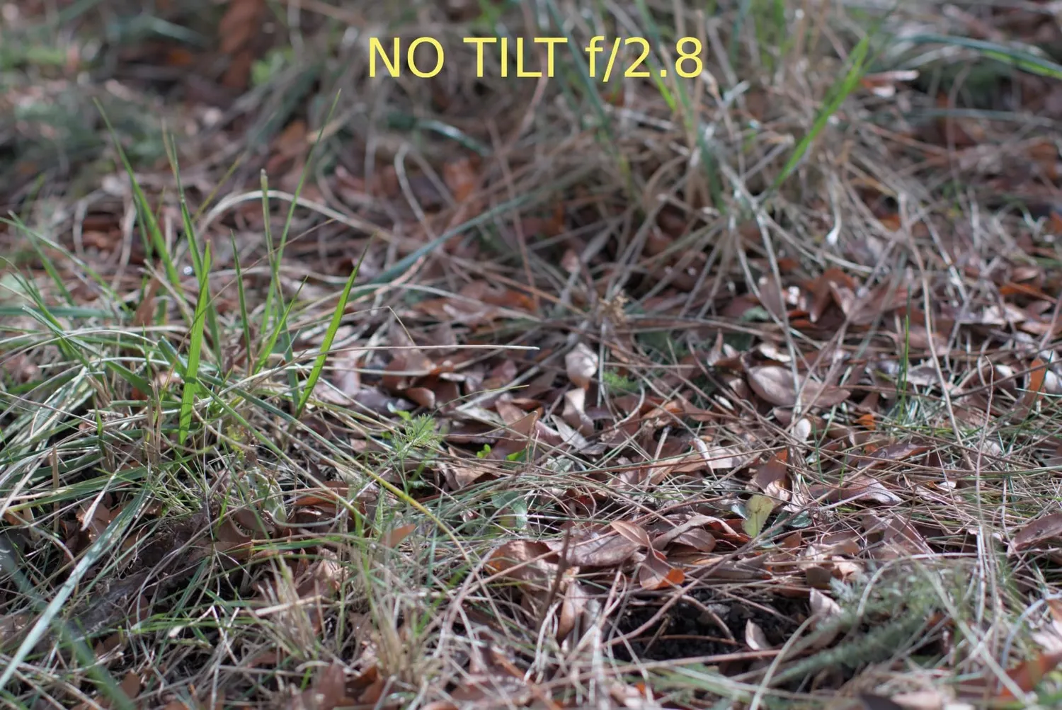 7Artisans 50mm F1.4 Tilt-Shift objectif Fuji X effet miniature