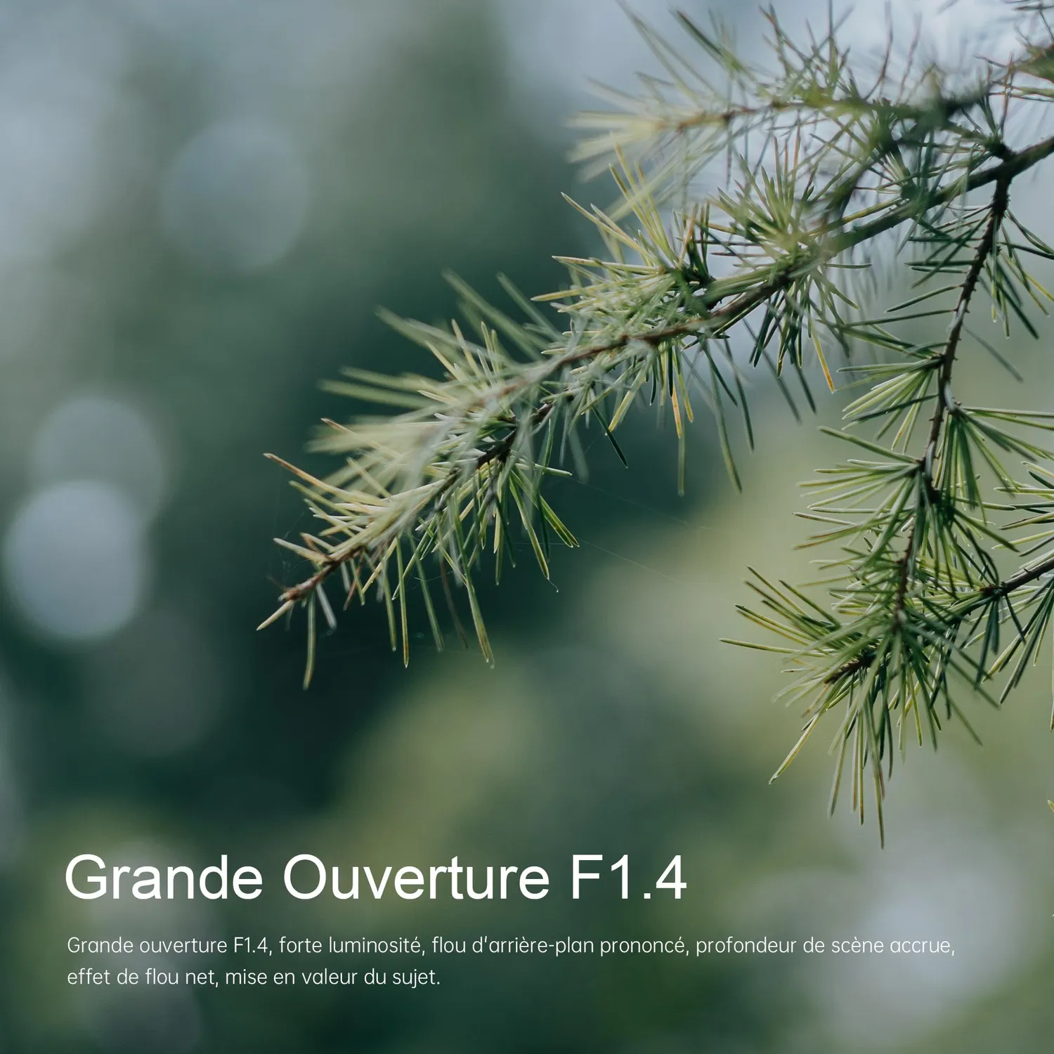 7Artisans 55mm F1.4 objectif Fuji X noir manuel