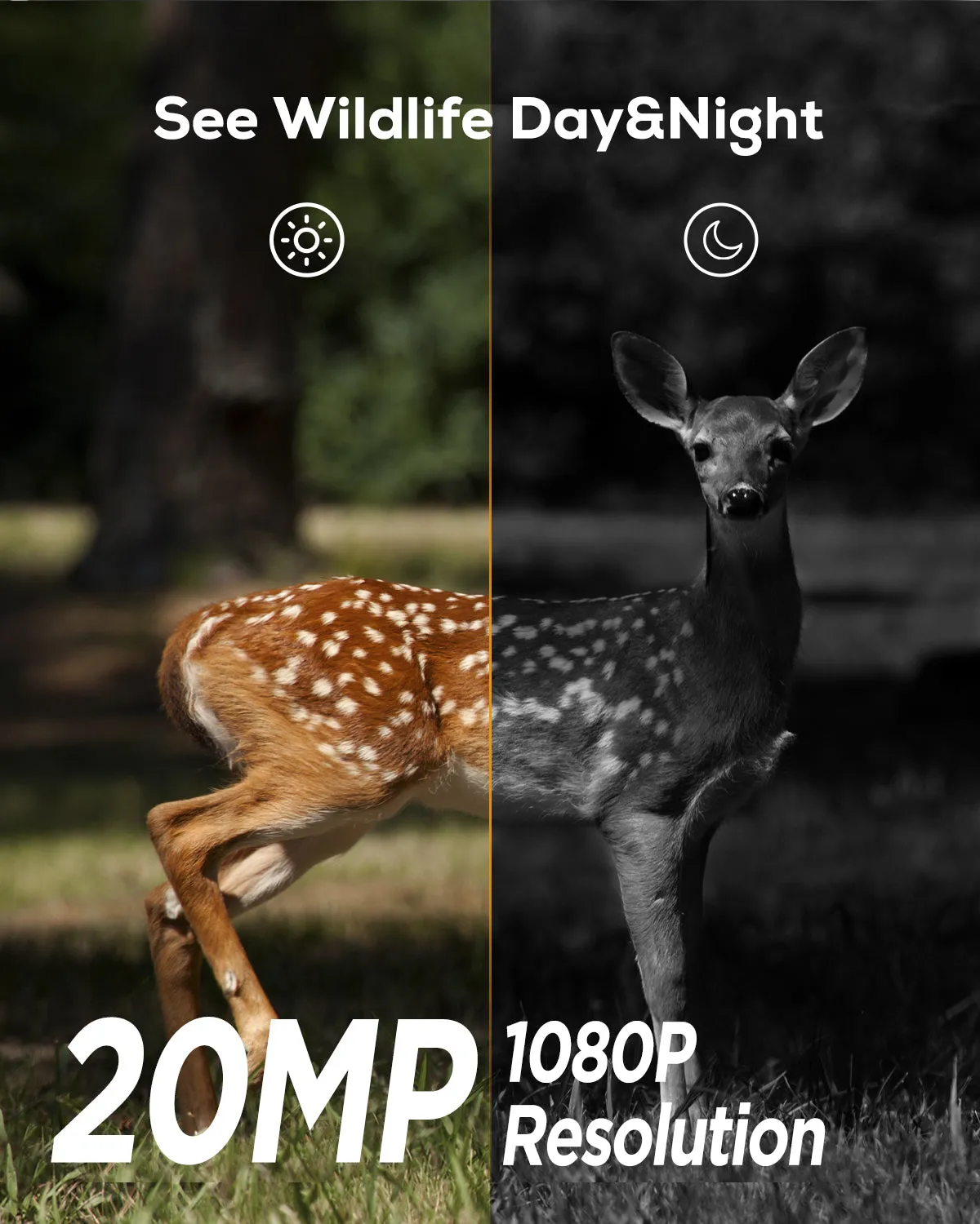 iZeeker iG200 caméra de chasse 1080p simple d'usage