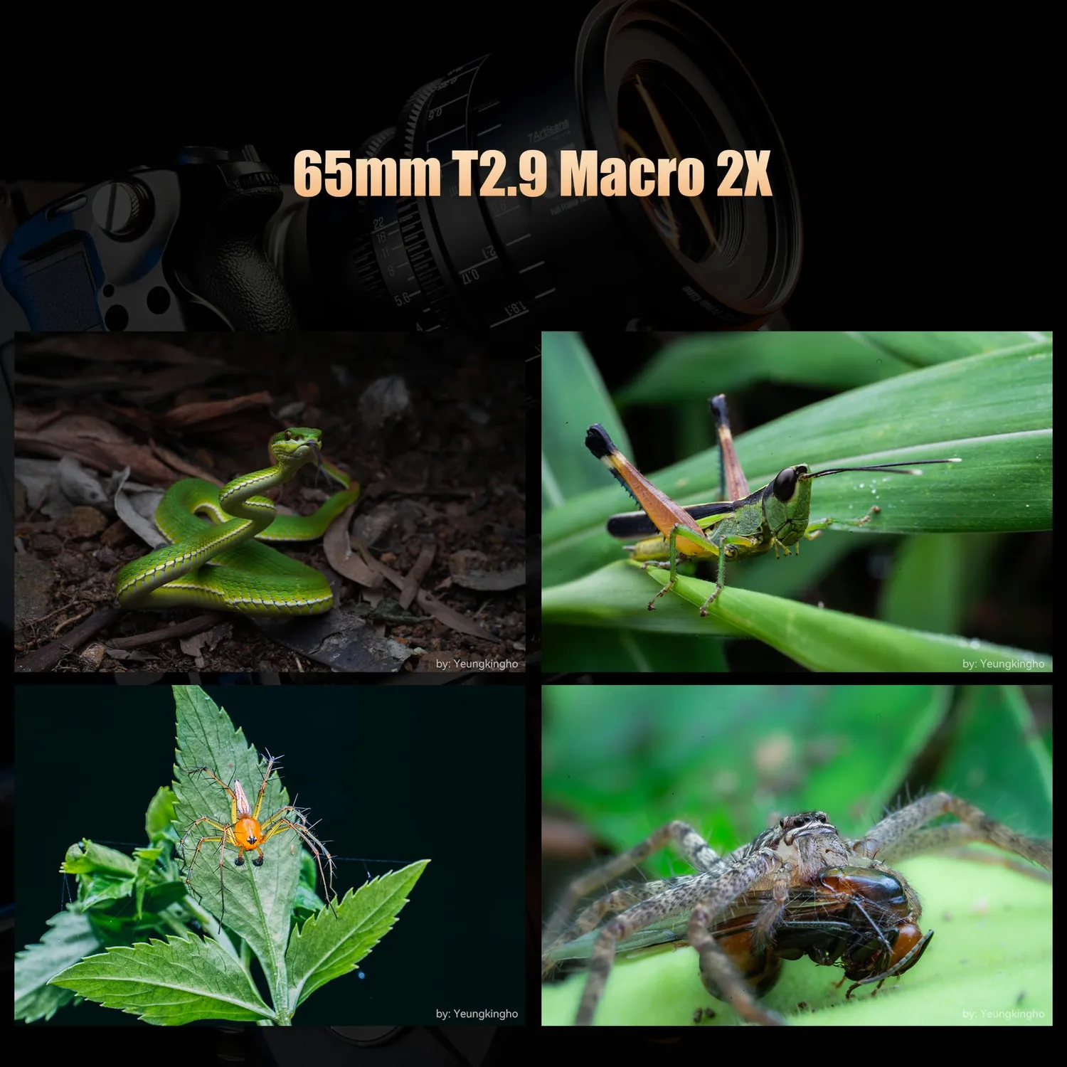 7Artisans Infinity 65mm T2.9 objectif cinéma E macro 2x
