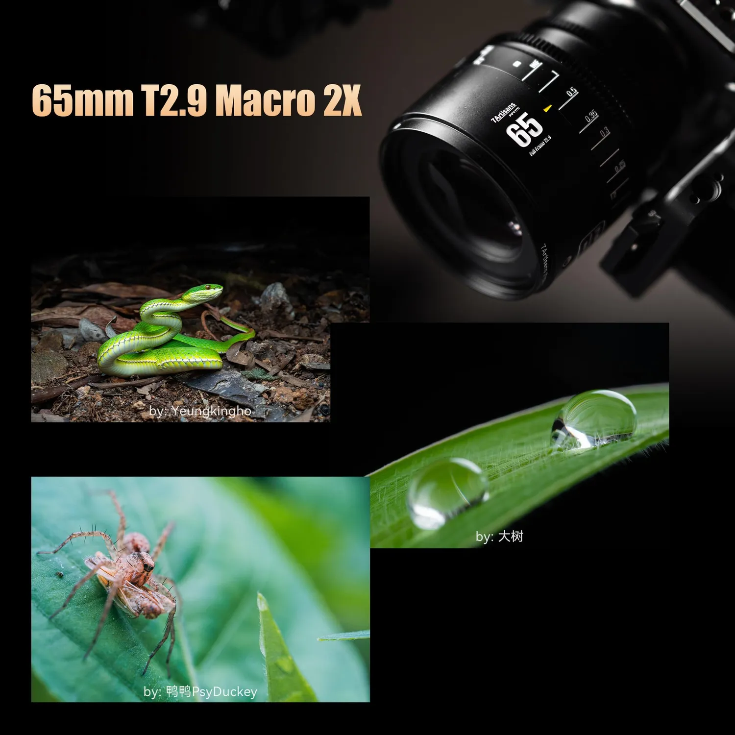 7Artisans Infinite MF65mm T2.9 objectif cinéma monture Sony E macro 2x